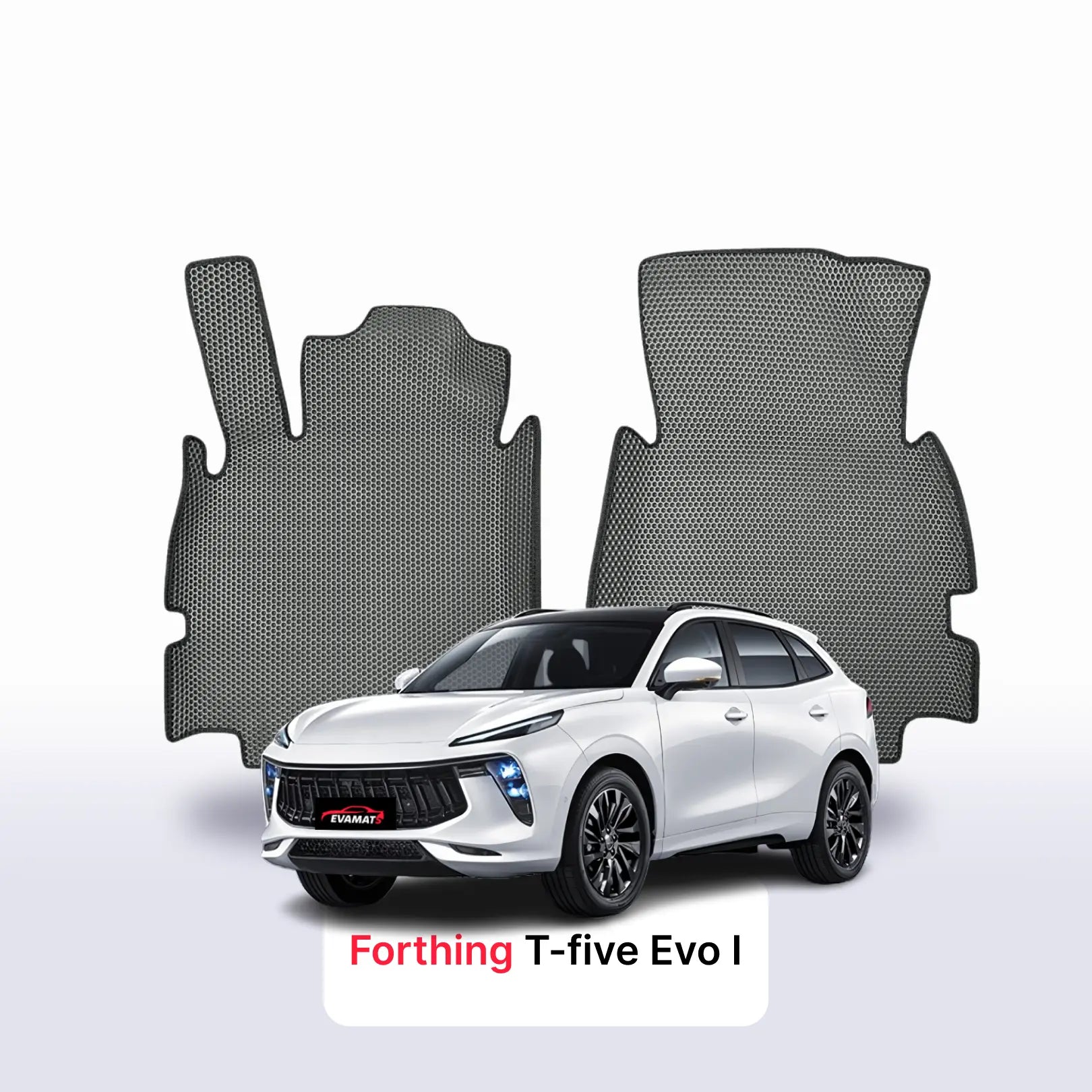 Car mats EVAMATS for Forthing T-five Evo 1 gen 2020-2027 year SUV